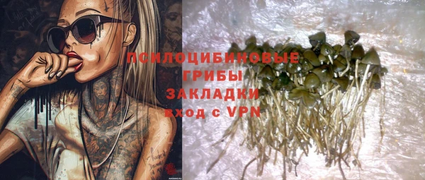 твердый Алексин