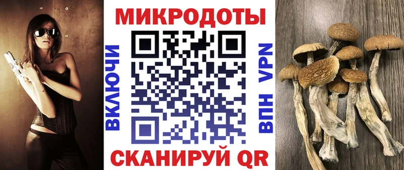 Галлюциногенные грибы Cubensis  Чегем 